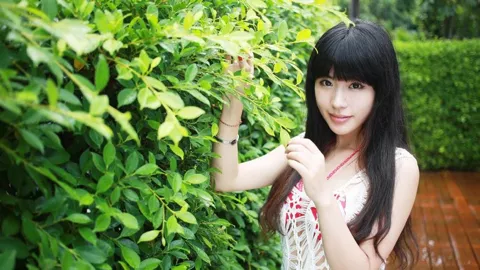 疯狂动物城2中国票房